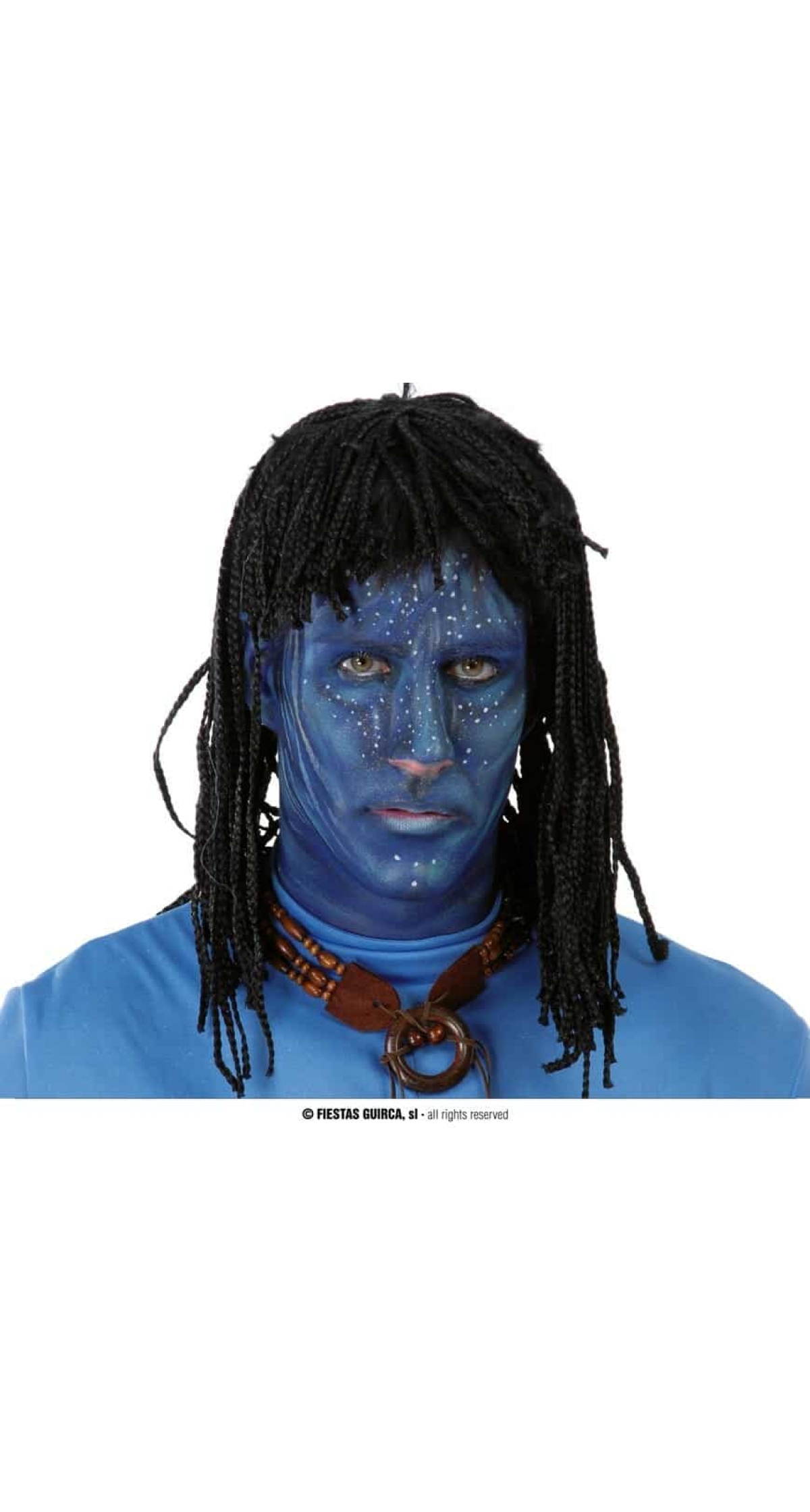 Black Native Avatar Wig - Adult One Size