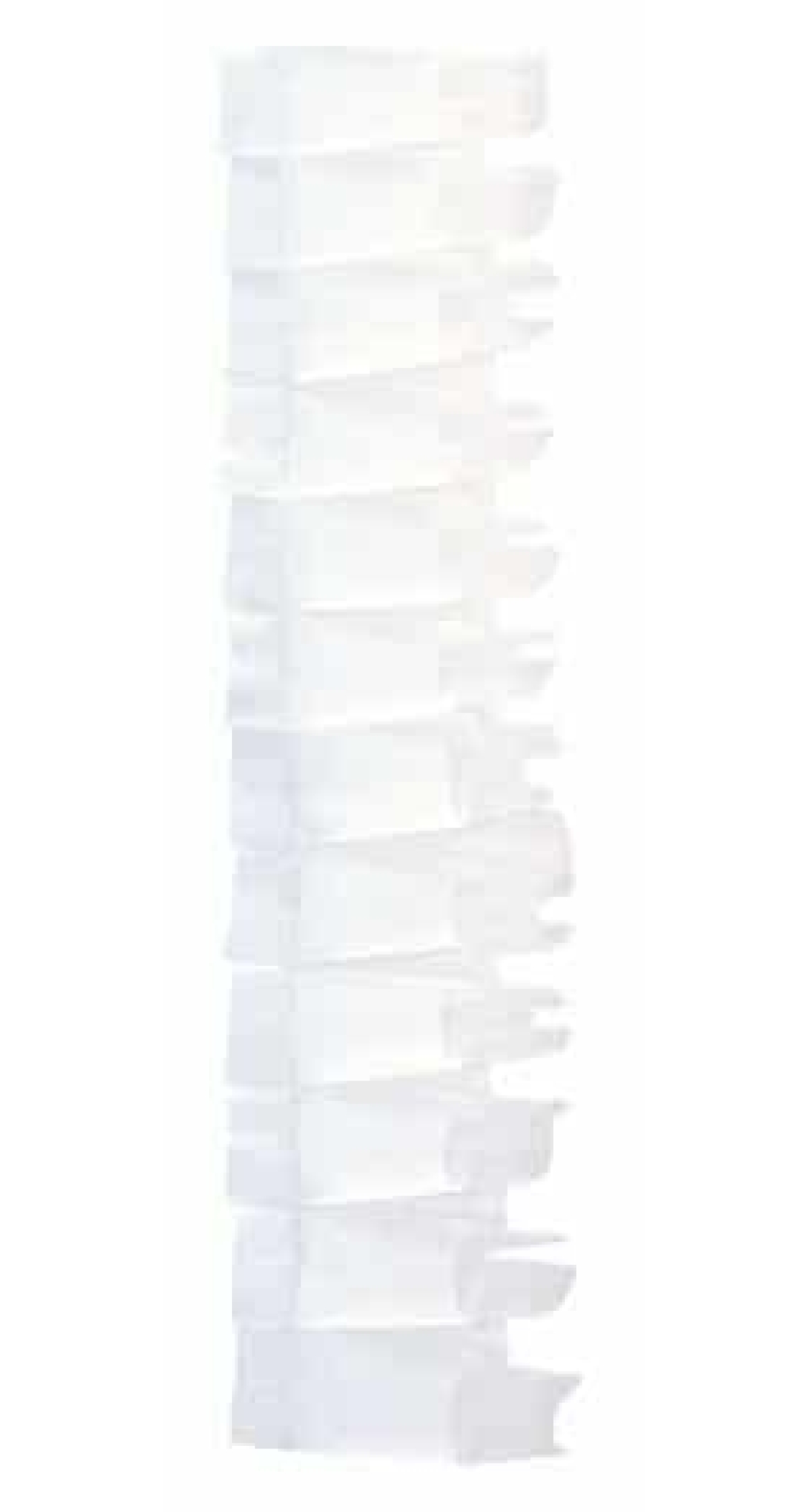 Cake Ribbon White (H 5.5cm) - Price Per Meter