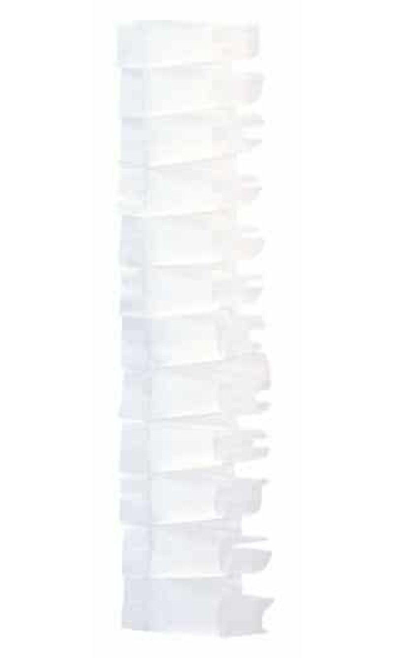 Cake Ribbon White (H 5.5cm) - Price Per Meter