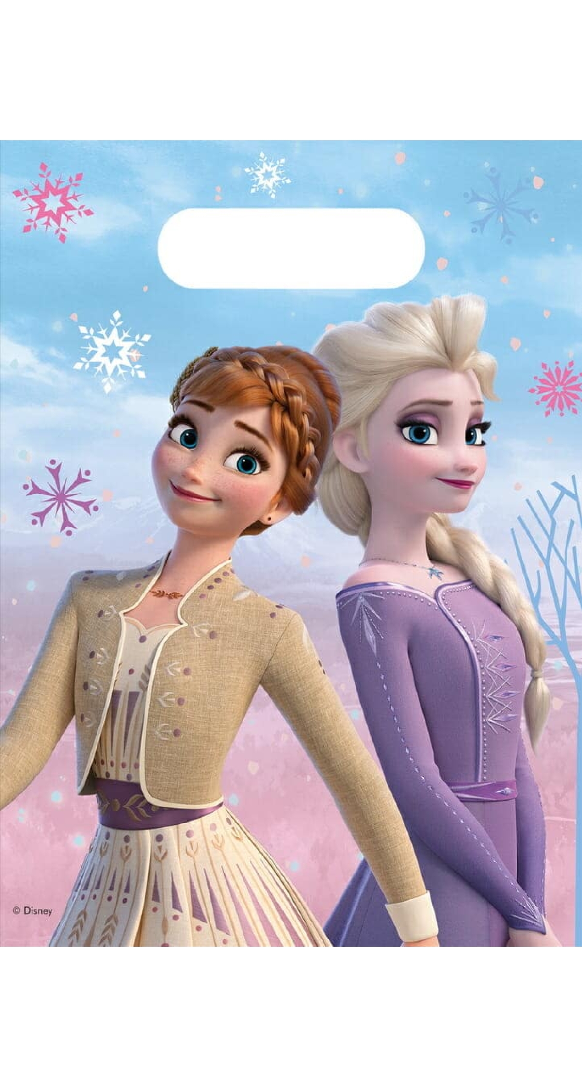 Frozen 2 Wind Spirit Plastic Party Bags - 6pk