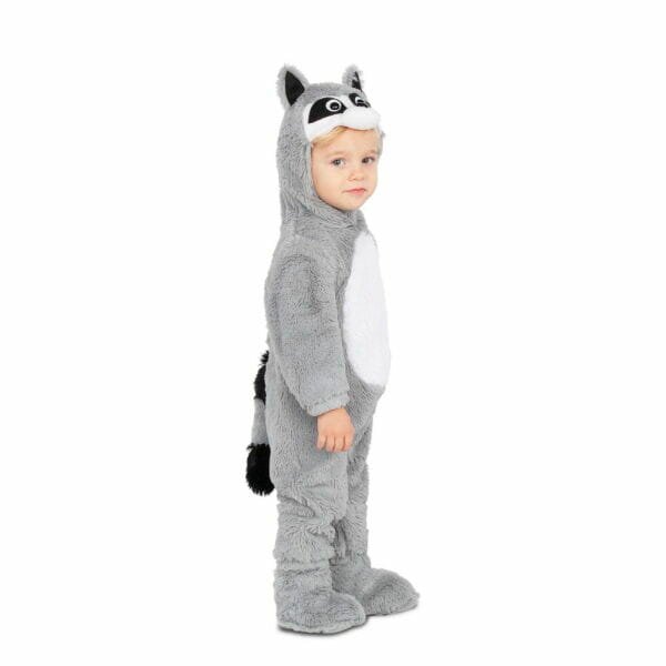 Cute Little Raccoon - Age 7 to 12 Months