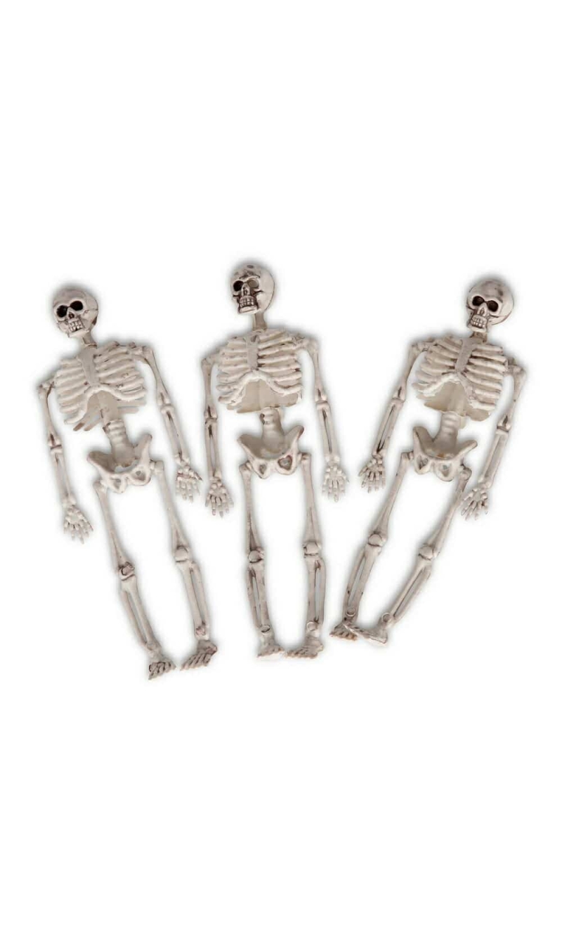Bag of 3 Skeletons