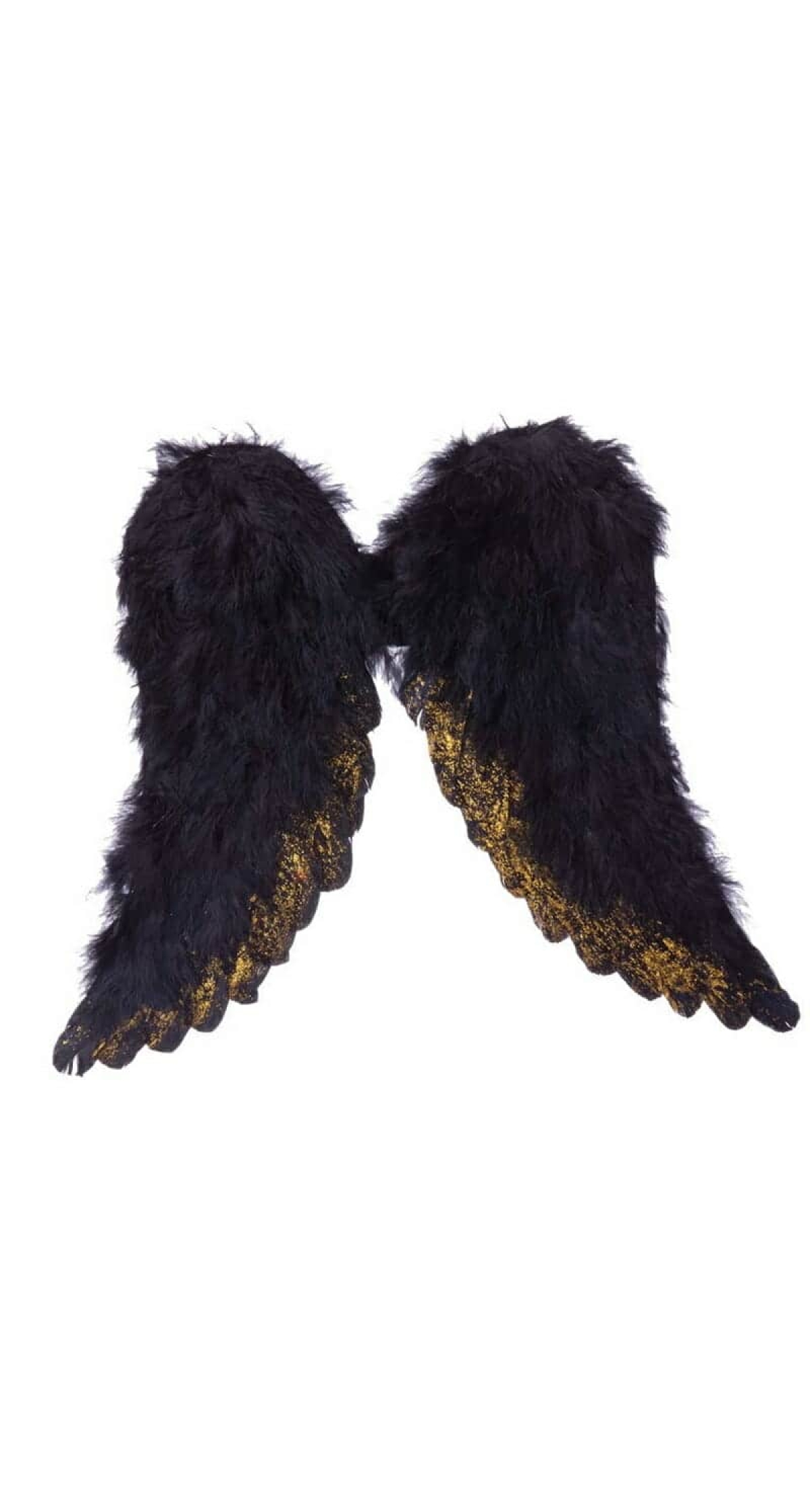 Black Archangel Wings - 45x39cm