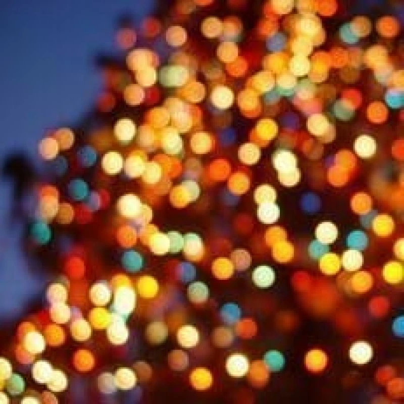 Seasonal & Events