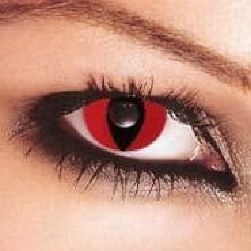 Contact Lenses