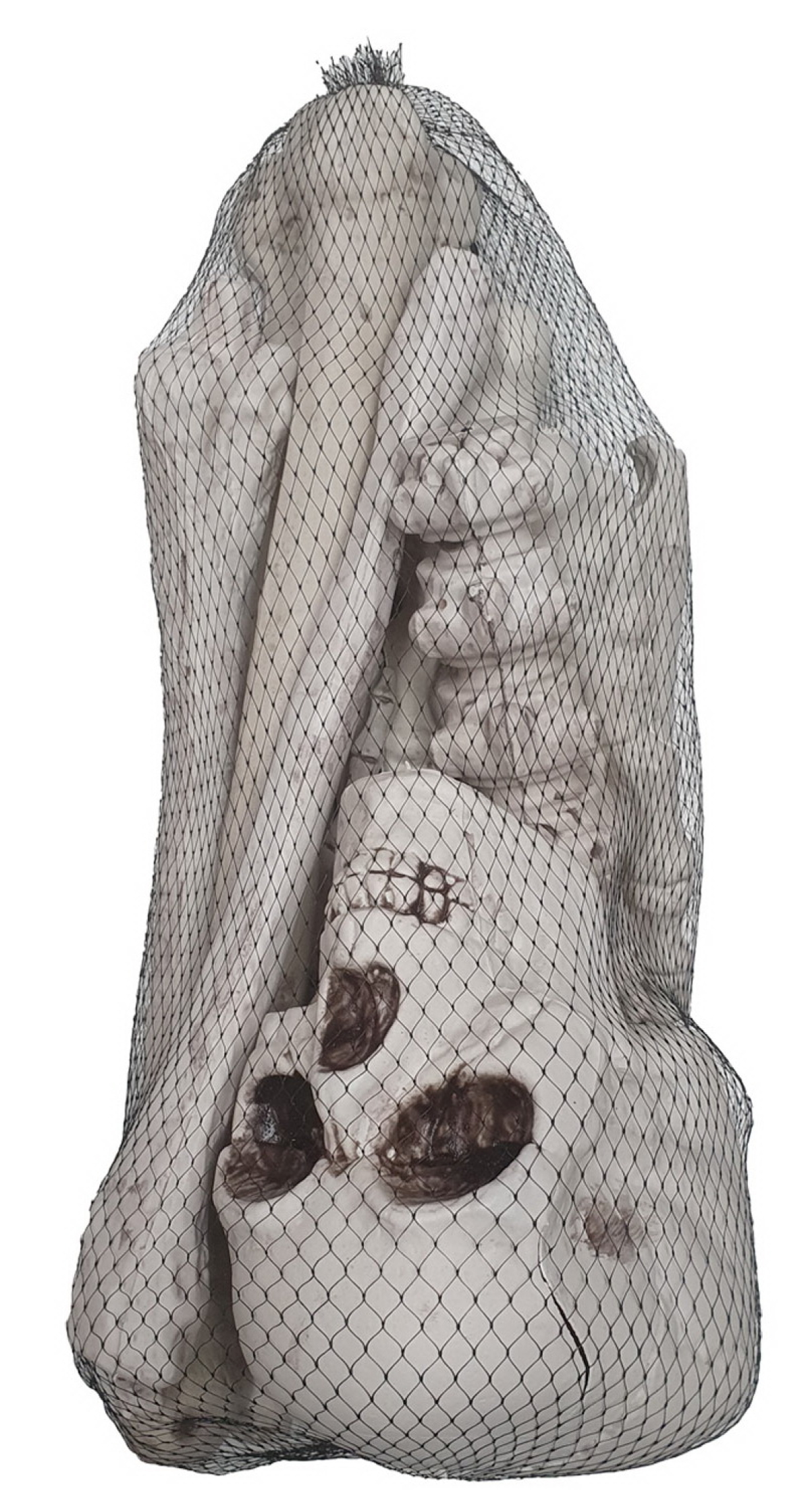 Complete Bag of Skeleton Bones Decoration Kit