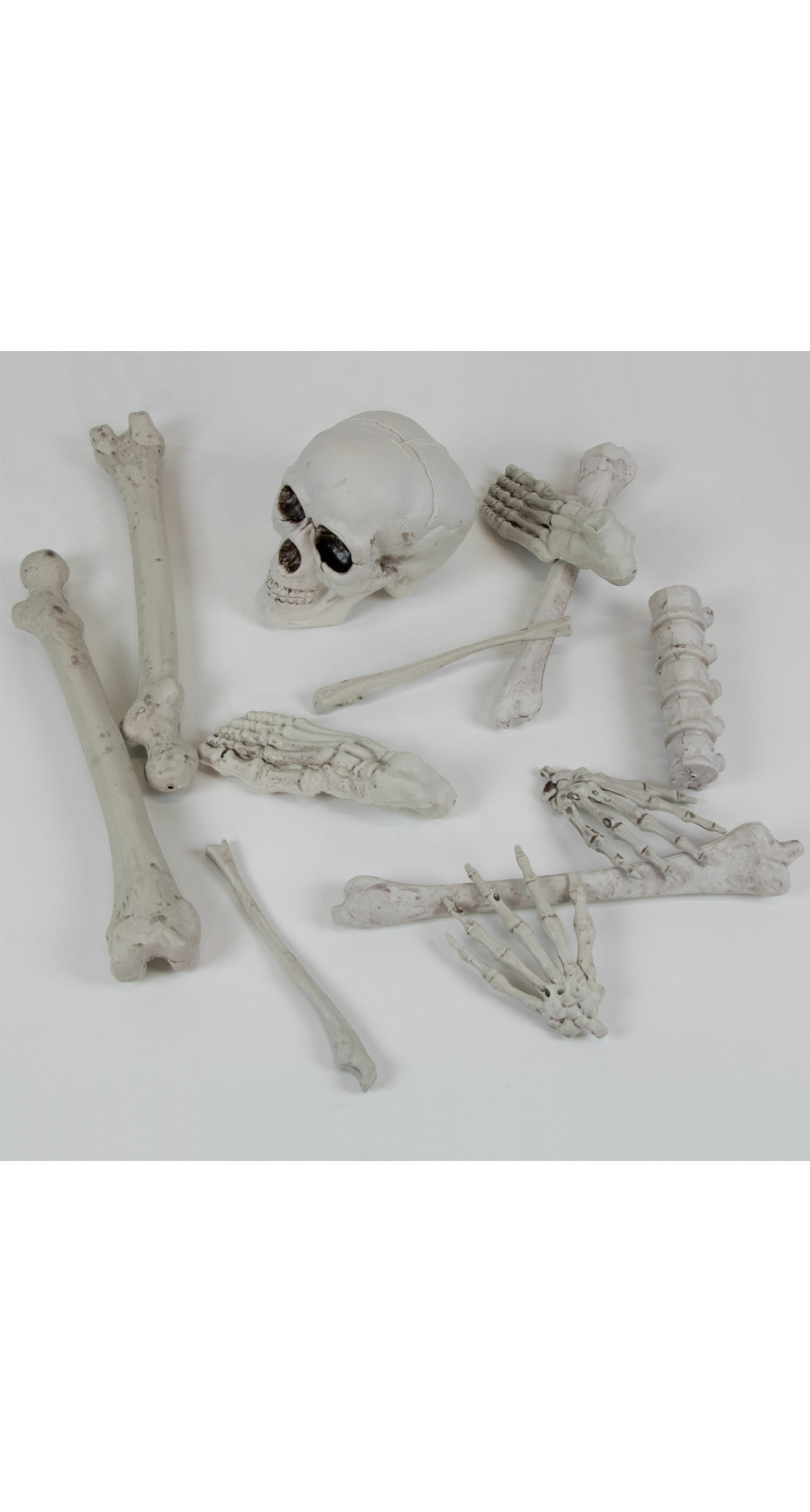 Complete Bag of Skeleton Bones Decoration Kit