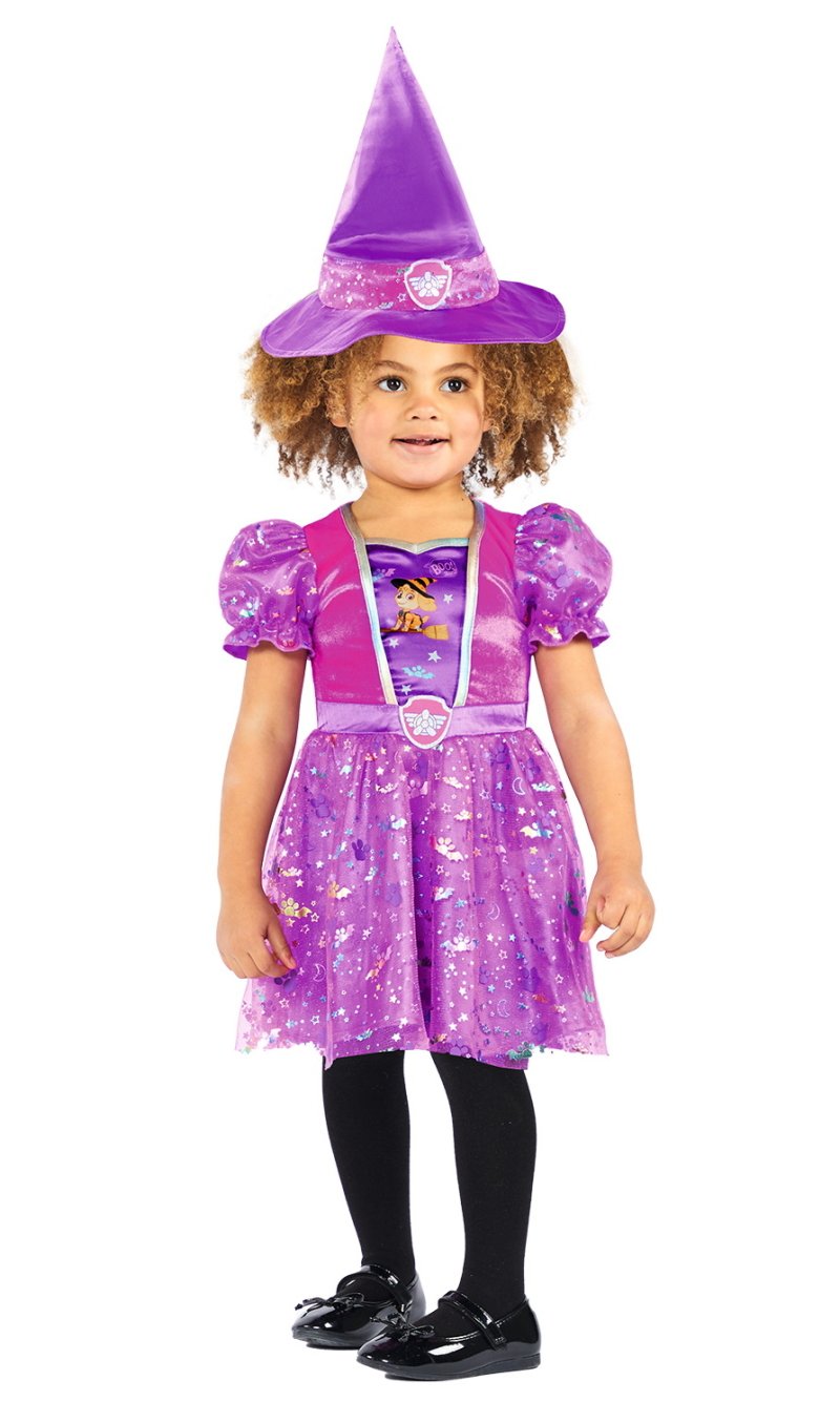 Licensed Paw Patrol Skye Witch Halloween Costume - Age 2 to 3 Years