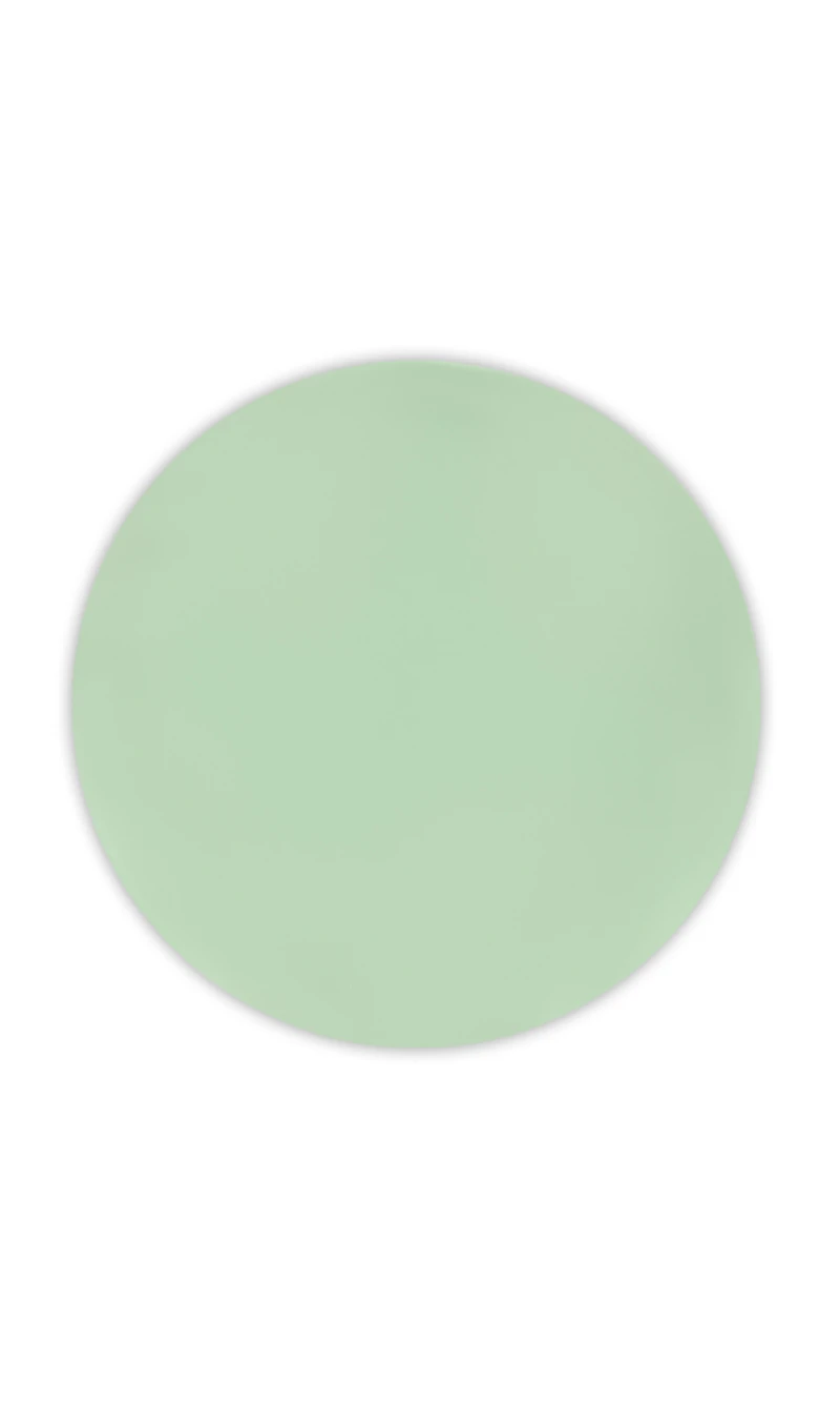 Solid Colour Mint Pastel Reusable Plates 20cm - 2pk