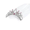 Tiara With A Veil For A Bachelorette Party, Silver