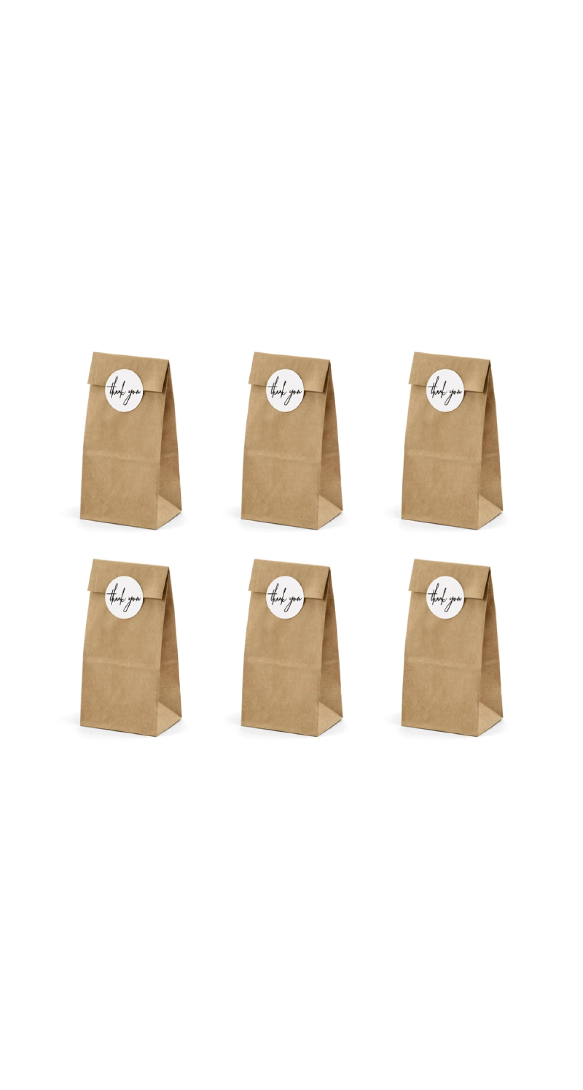Treat Bags, Kraft (1pkt / 6pc)