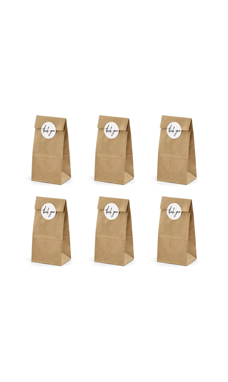 Treat Bags, Kraft (1pkt / 6pc)