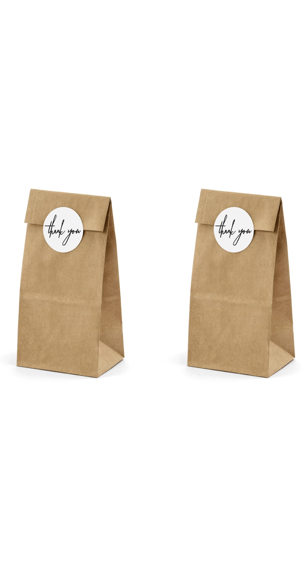 Treat Bags, Kraft (1pkt / 6pc)