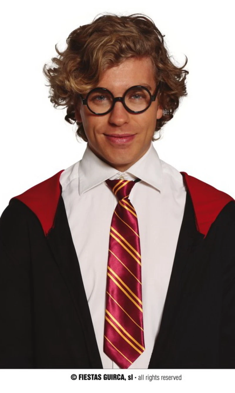 Harry Potter Student Tie