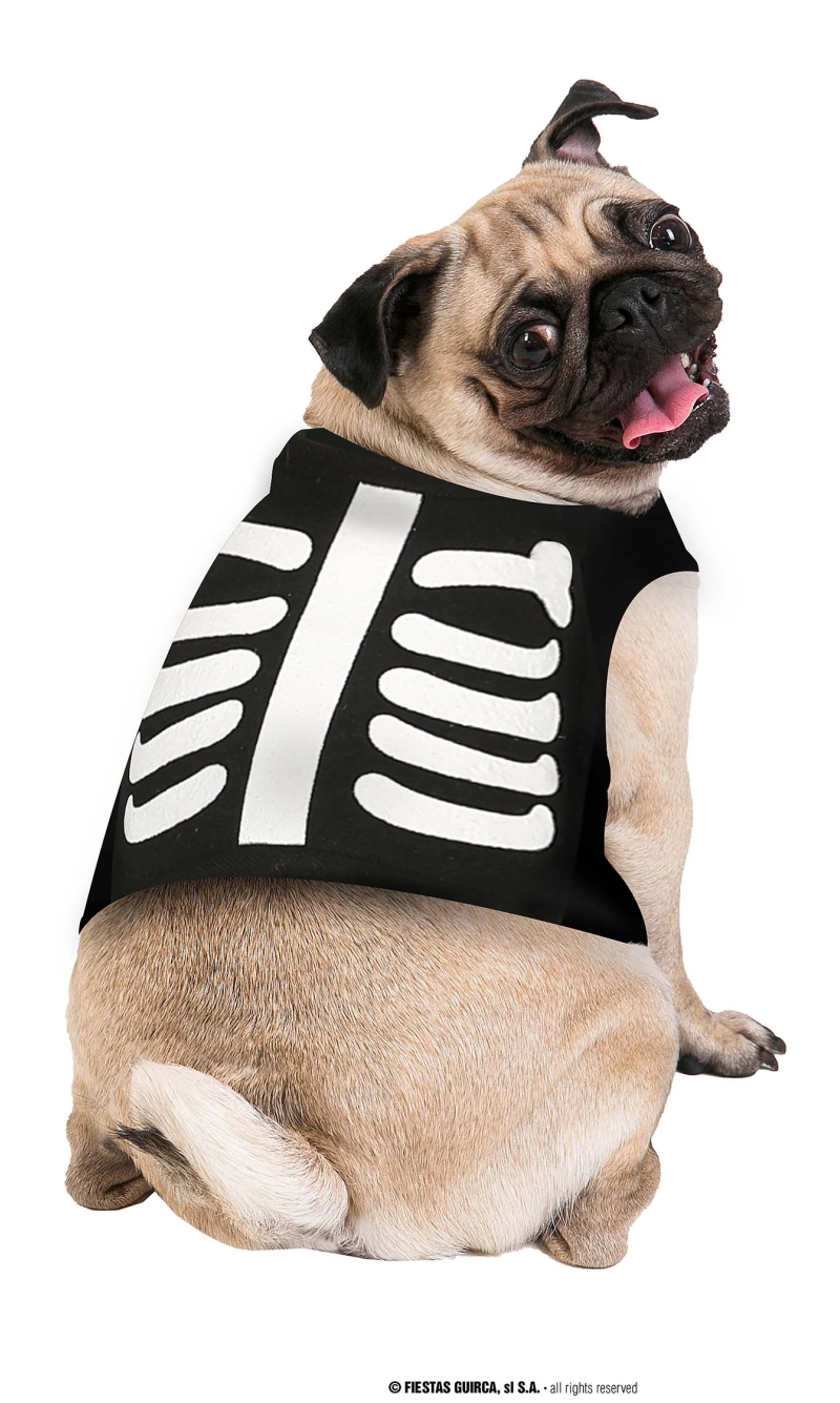 Skeleton Dog Costume - Pet Size Small