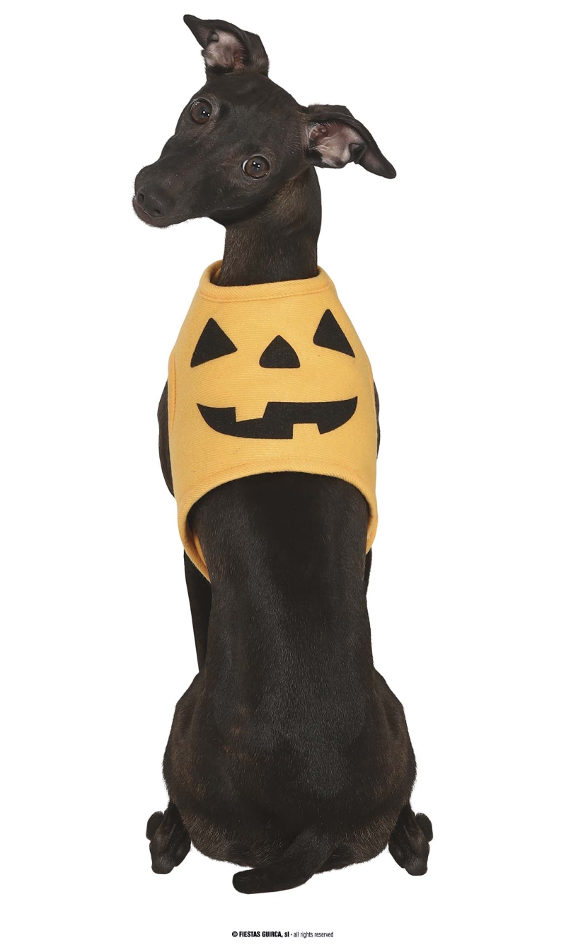 Pumpkin Dog Costume - Pet Size Small