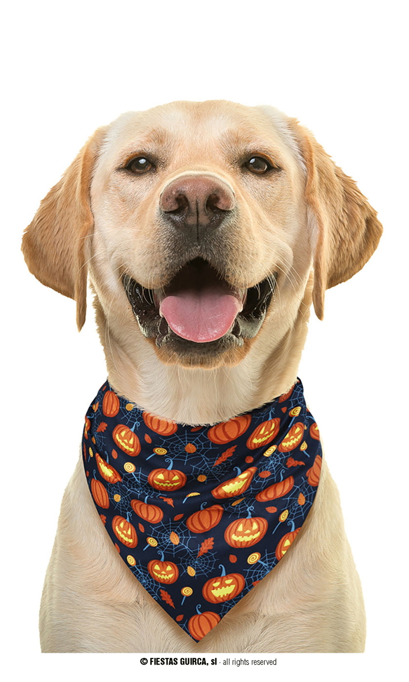Halloween Pumpkin Pet Scarf