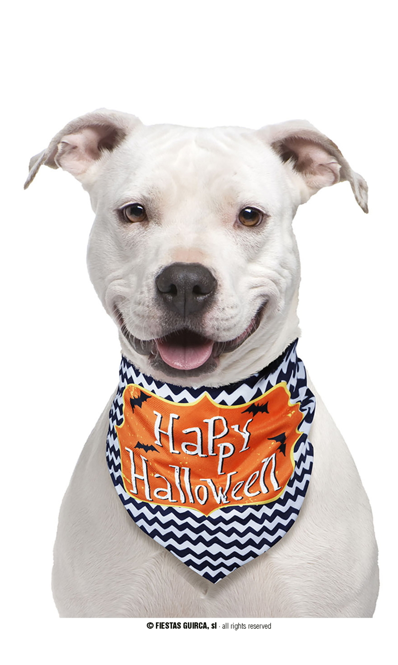 Halloween Pet Scarf Happy Halloween 