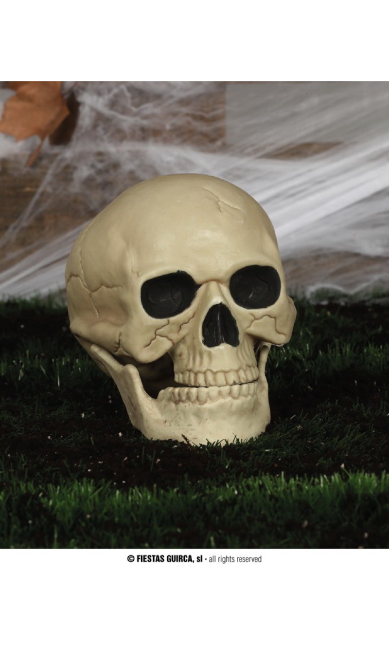 Skull (26174) - 20cm