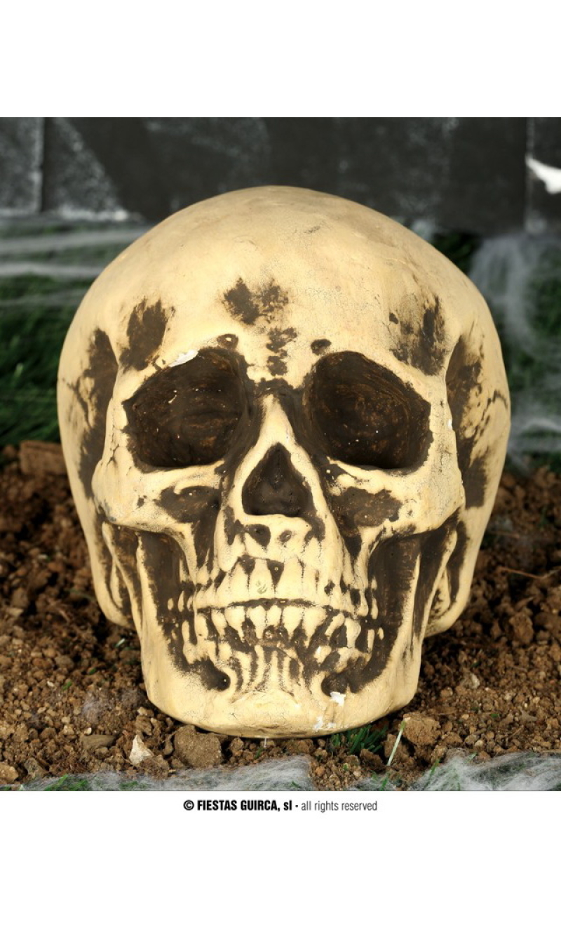 Halloween Foam Skull - 22cm