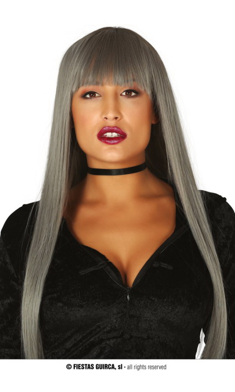 Grey Long Wig - Adult One Size