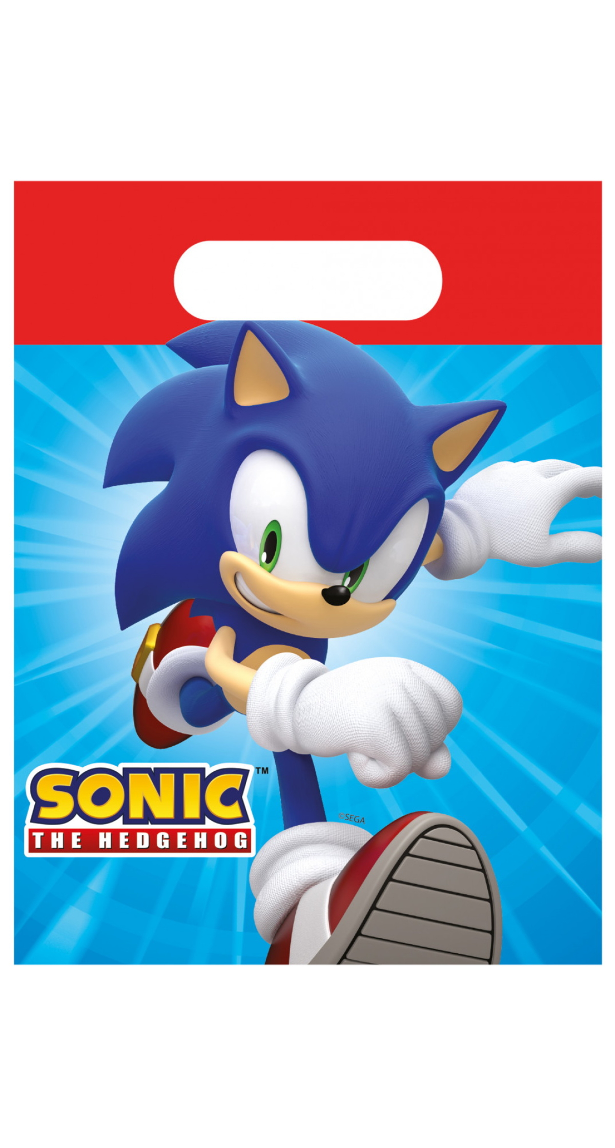 Sonic Party FSC Paper Party Bags - 4pk
