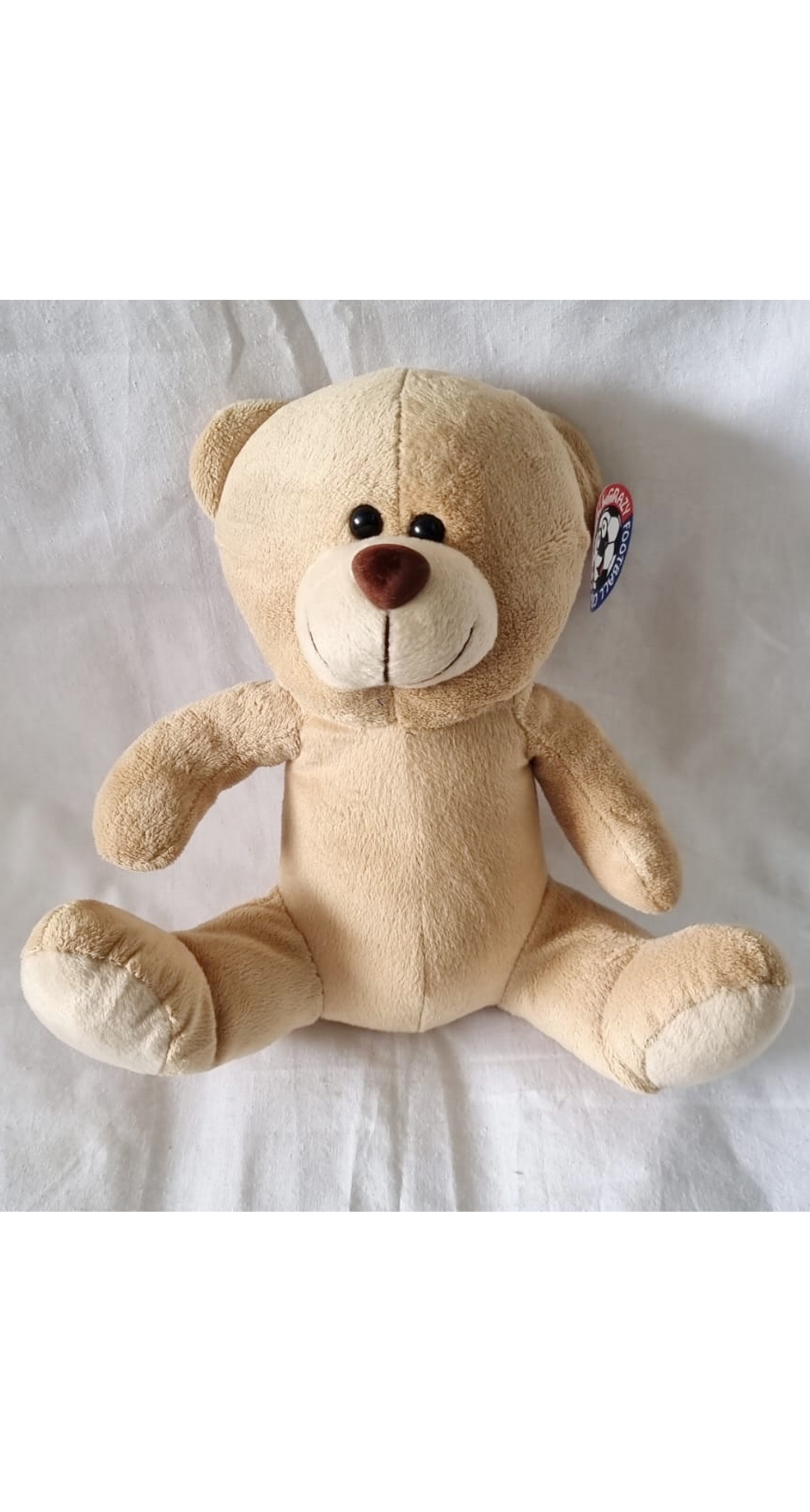 Teddy Bear Soft Toy - 25x17cm