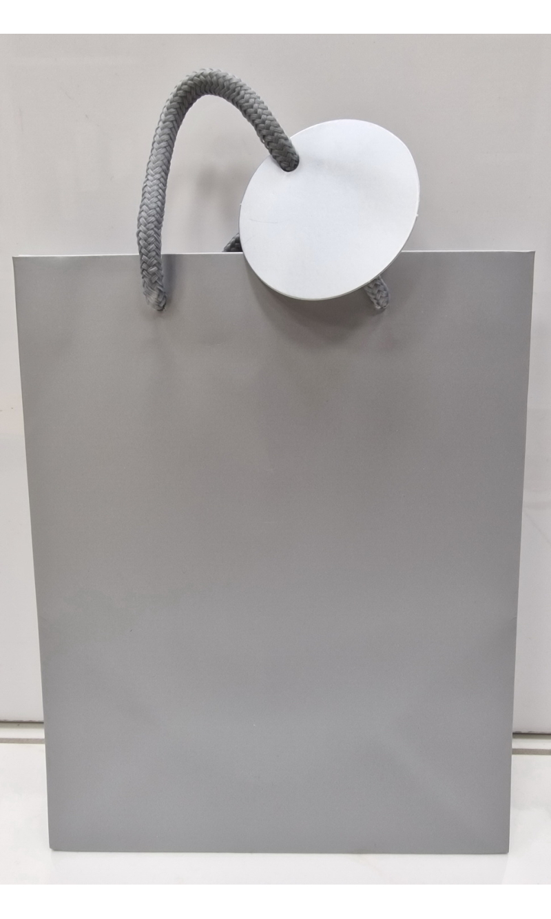 Silver Gift Bag Medium - 23x18x10cm