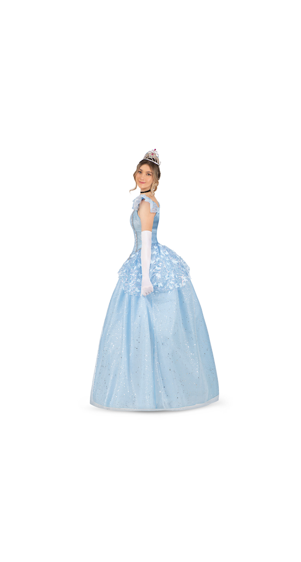 Enchanted Princess Cinderella Costume - Adult Size Small