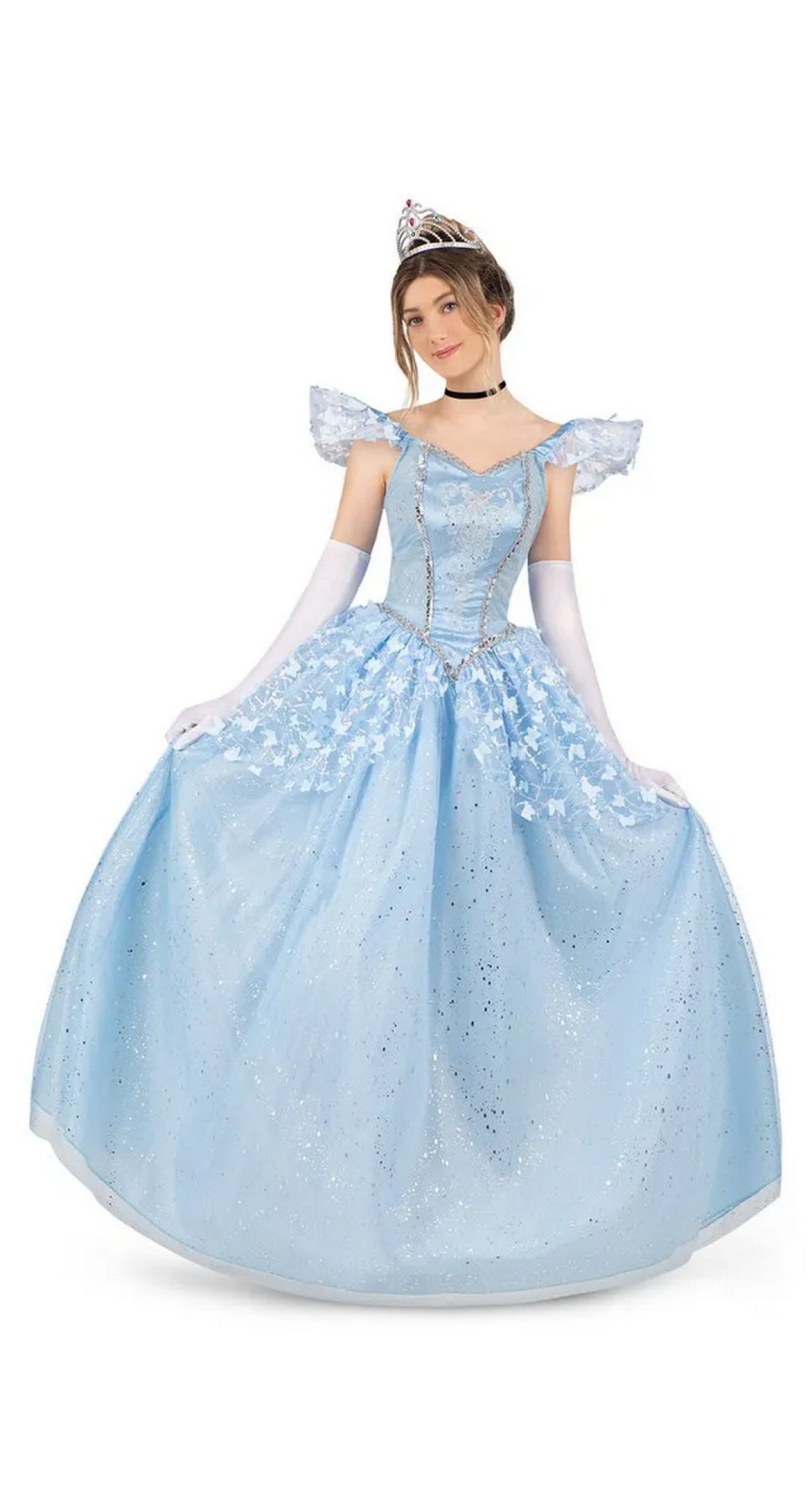 Enchanted Princess Cinderella Costume - Adult Size Small
