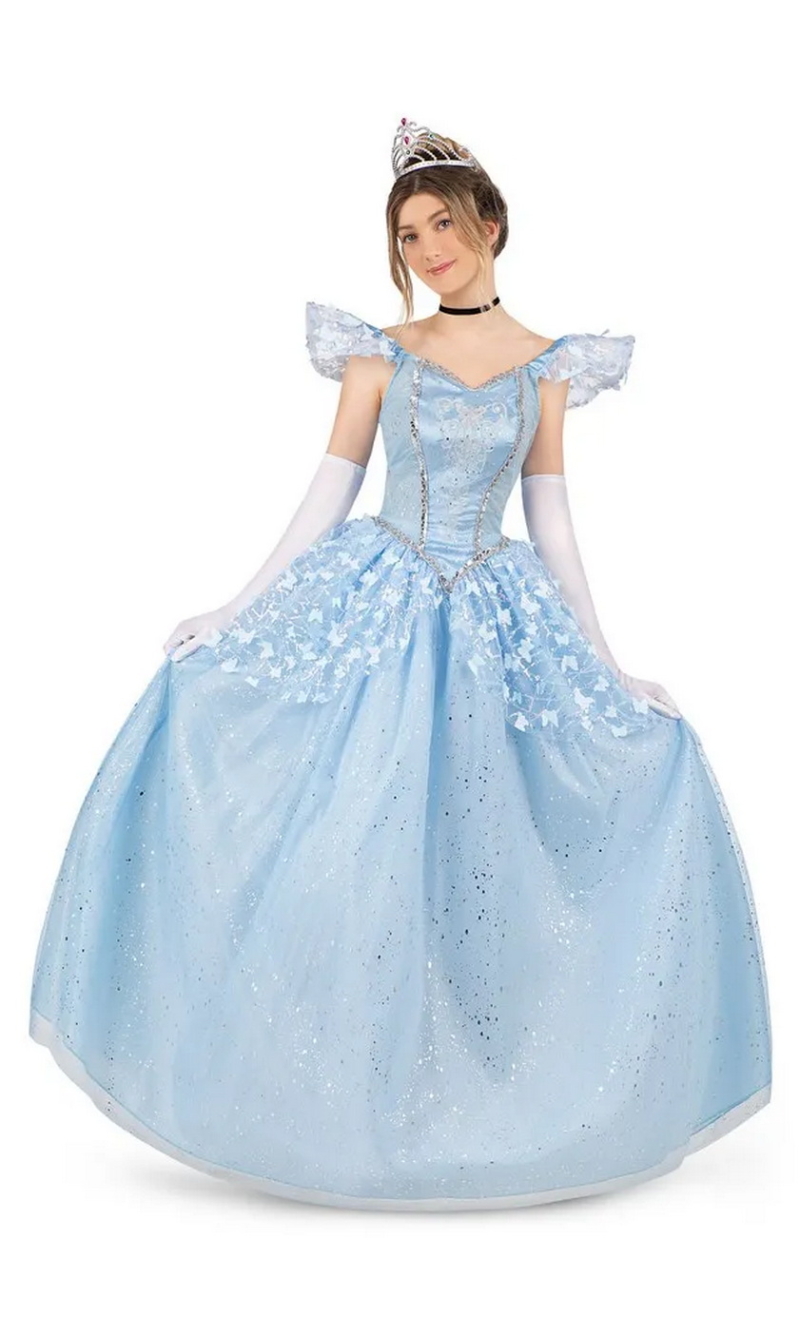 Enchanted Princess Cinderella Costume - Adult Size Small