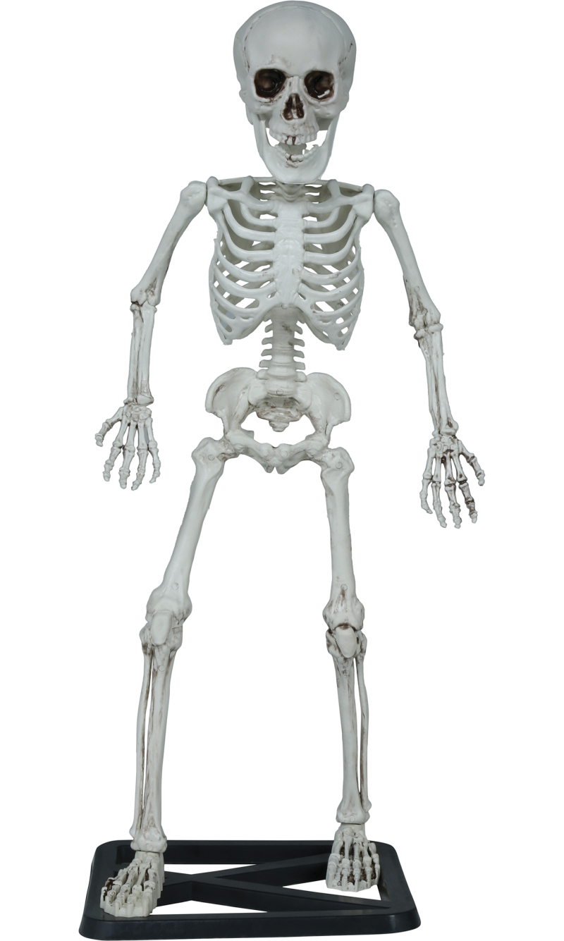 Halloween Standing Skeleton Prop Decoration 55cm