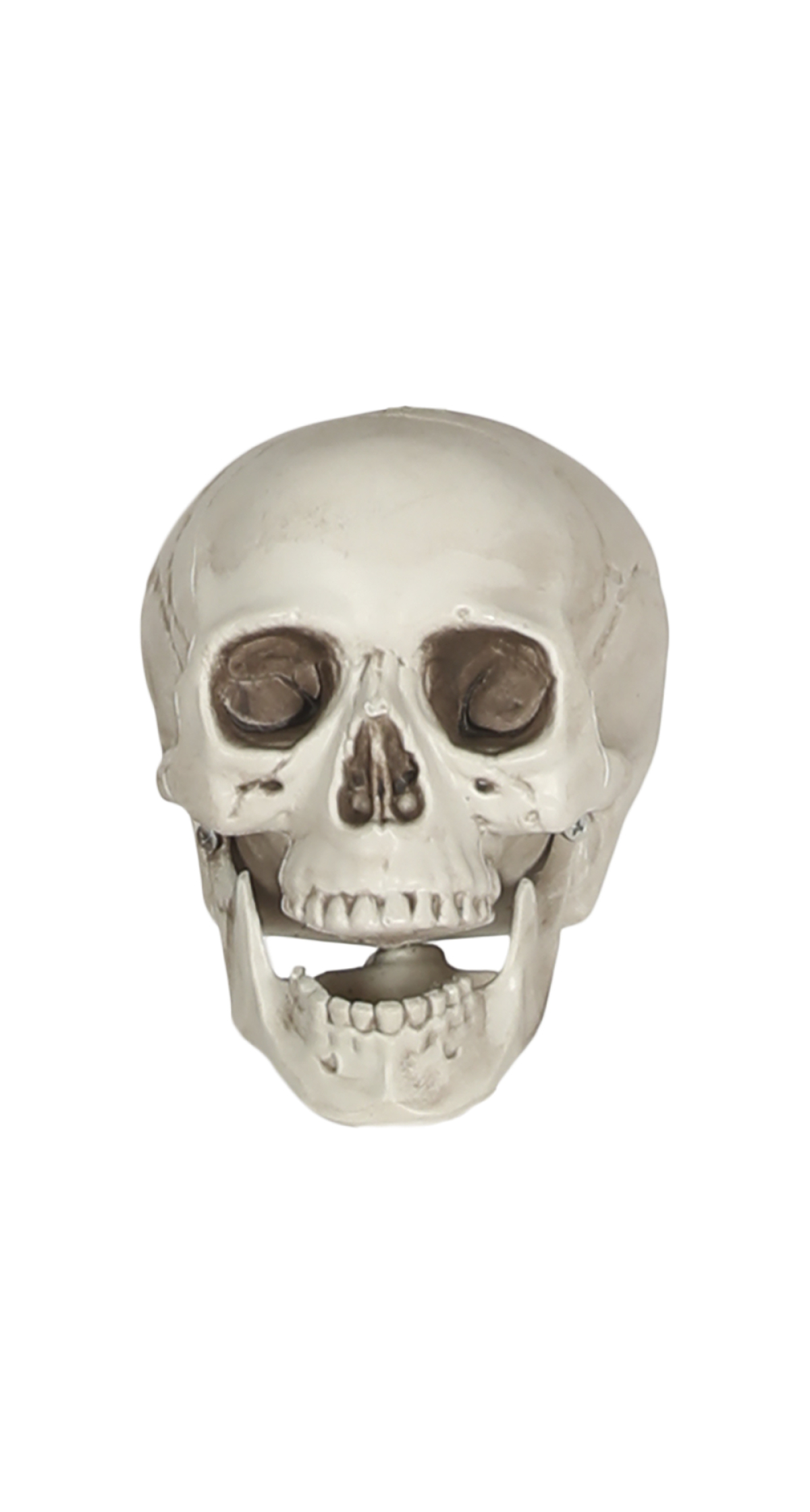 Halloween Skull Decoration Prop (PVC) 20cm