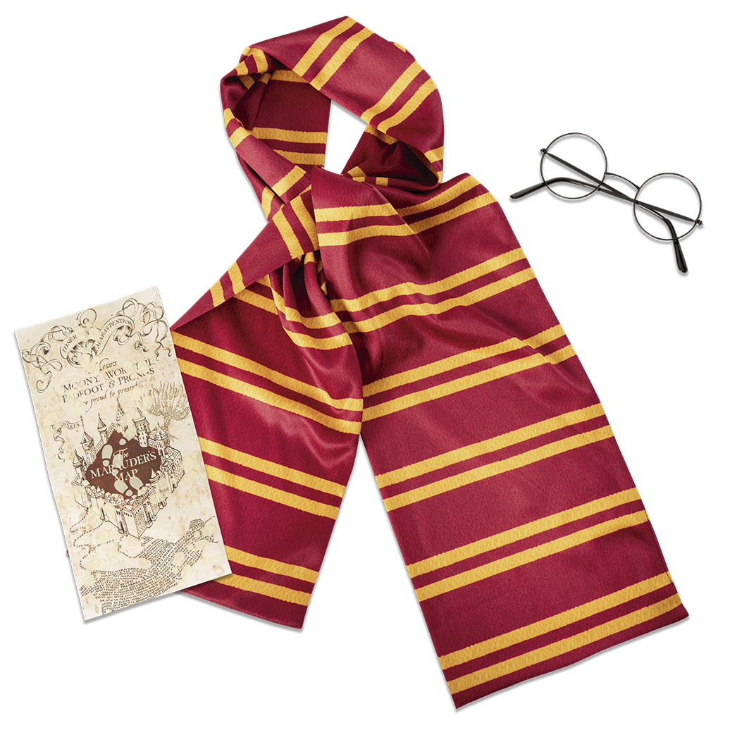 Official Licensed Harry Potter Accessory Set - Chile One Size