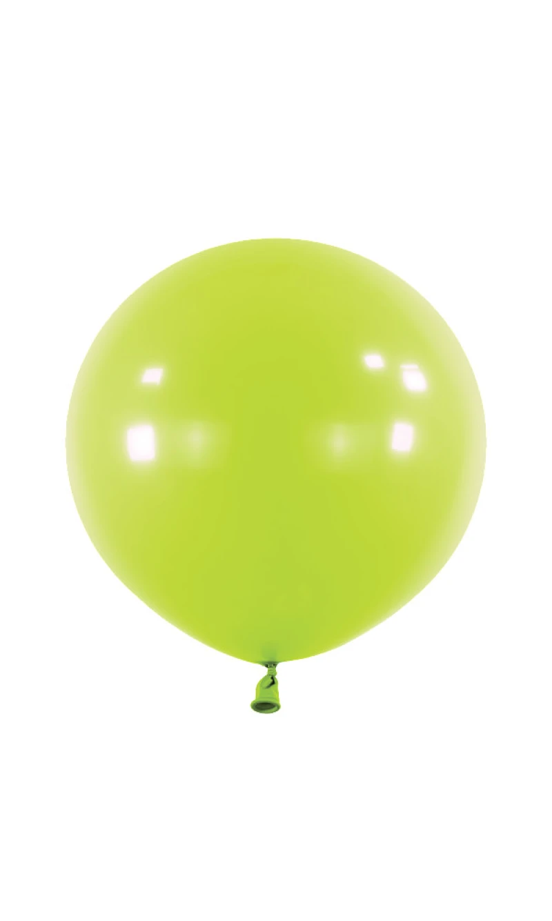 Anagram Latex Balloon - Fashion Kiwi  24" RND - 4pcs