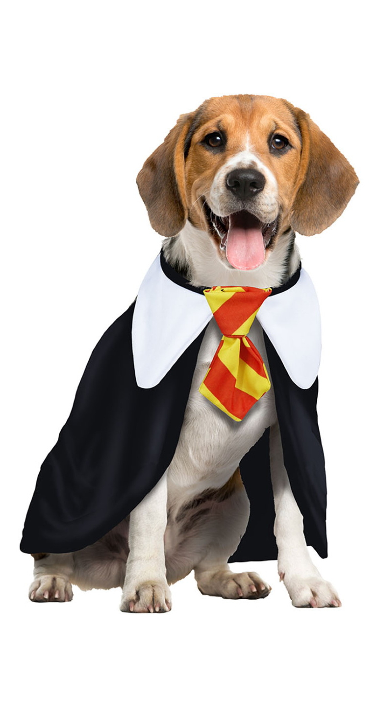 Harry Potter Dog Costume - Pet Size Medium