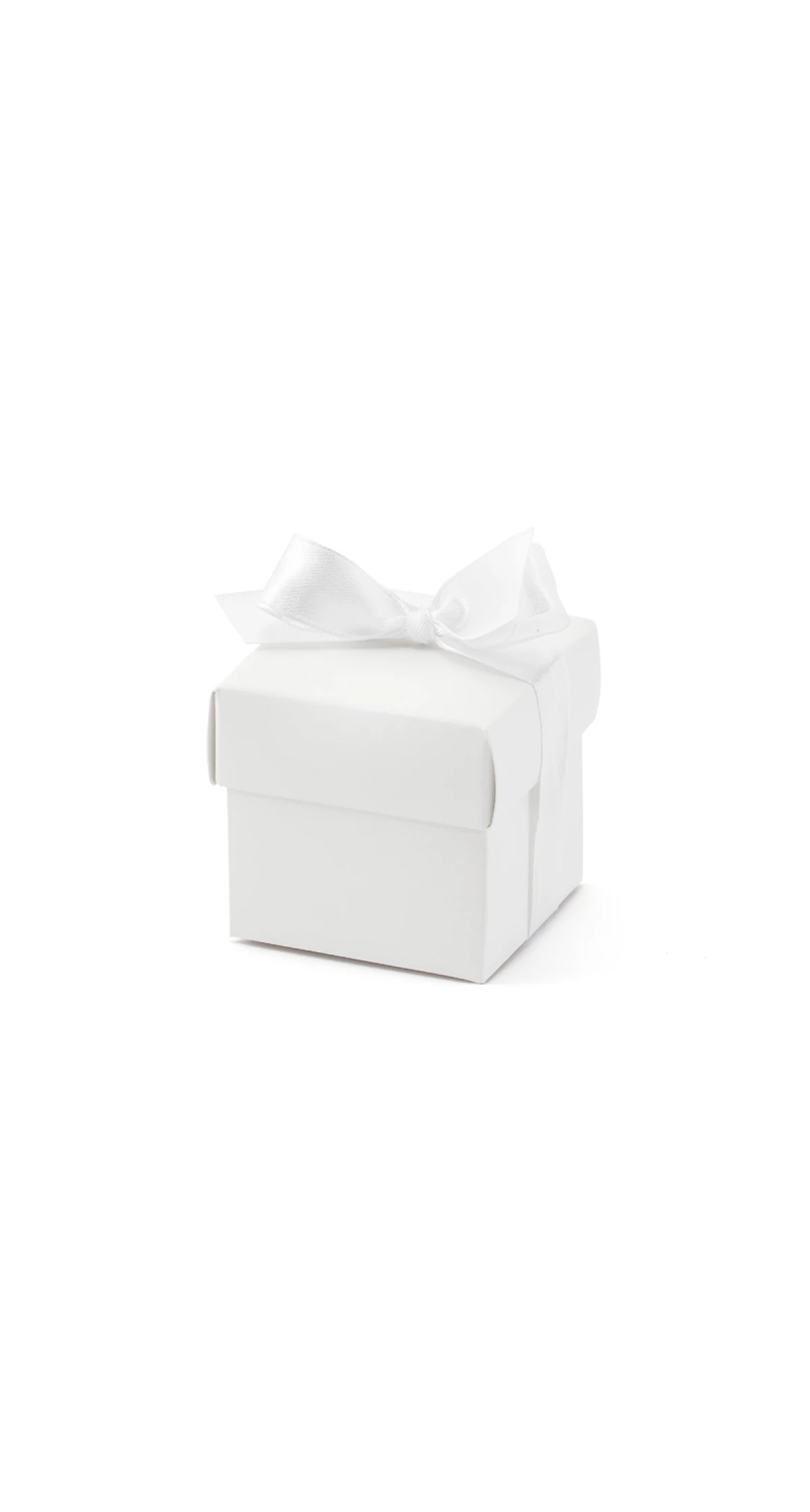Boxes With A Ribbon White (1pkt / 10pc)