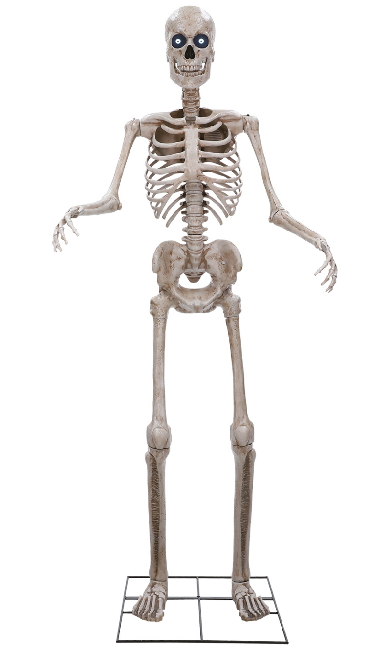 Halloween Animatronic Standing Towering Skeleton 243cm