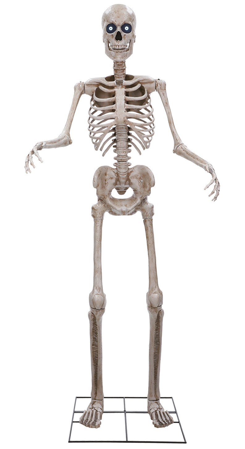 Halloween Animatronic Standing Towering Skeleton 243cm