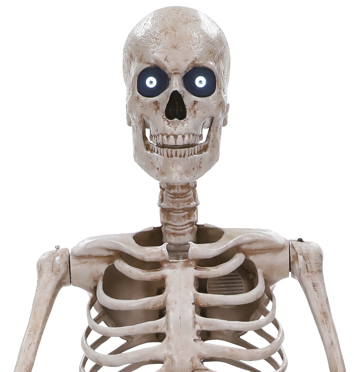 Halloween Animatronic Standing Towering Skeleton 243cm