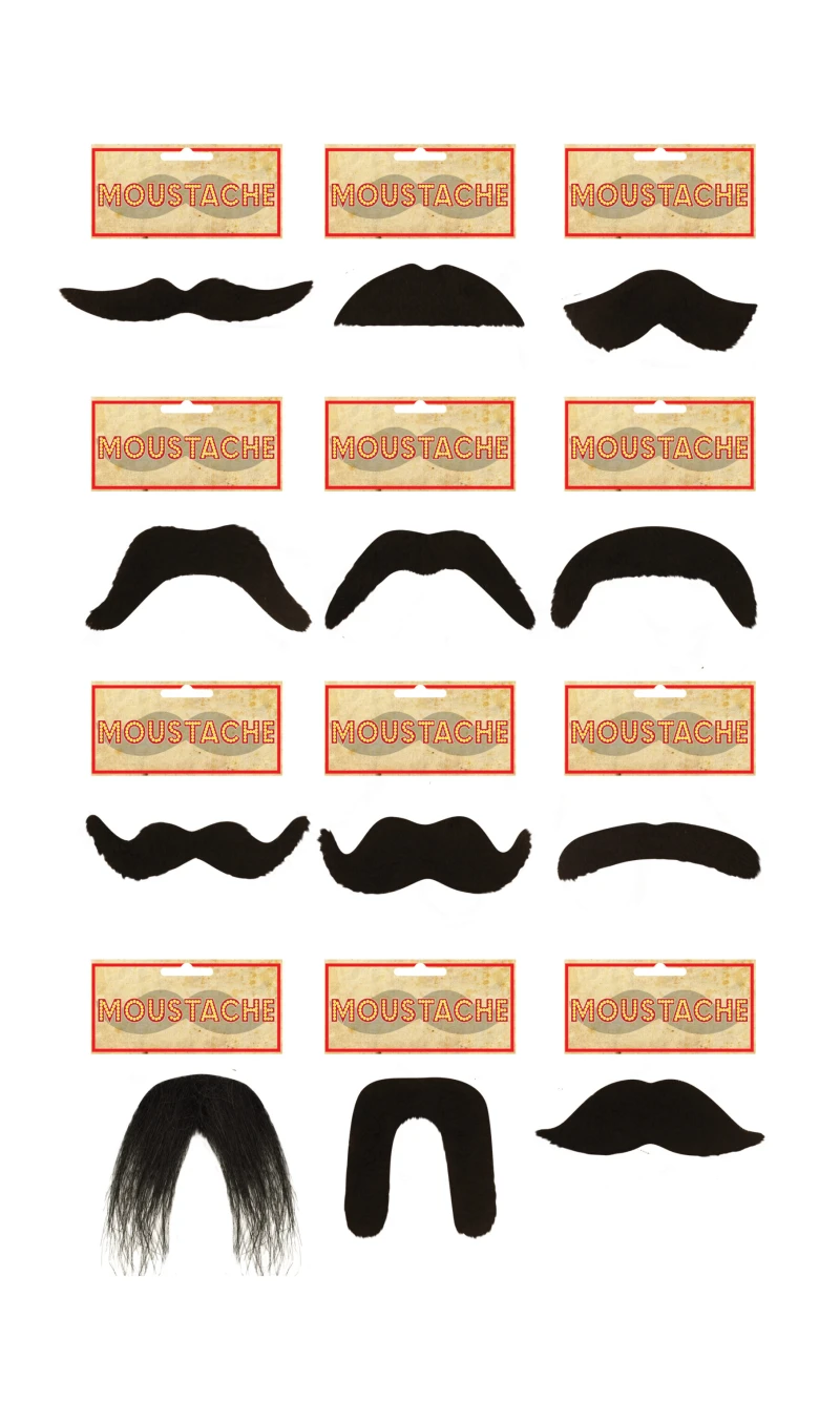Fake Moustache (Assorted Styles)
