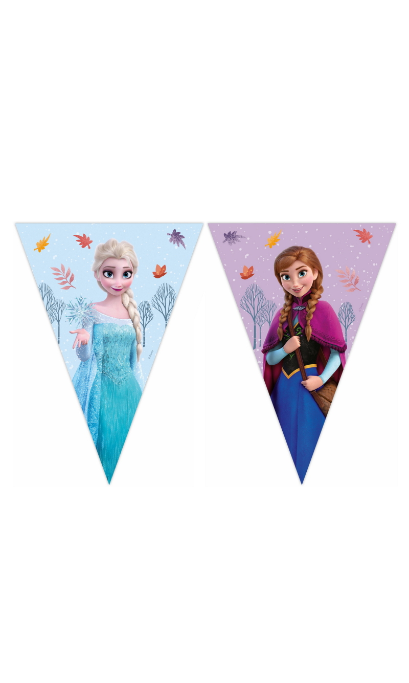 Frozen Idyllic Wonder FSC Paper Triangle Flag Banner (9 Flags) - 1pk