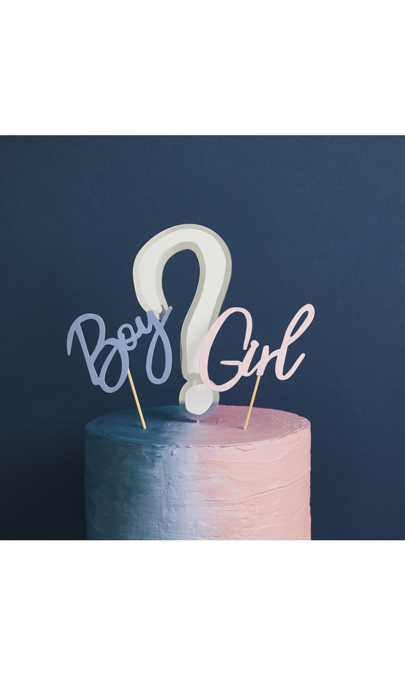 Gender Reveal Cake Topper Set
