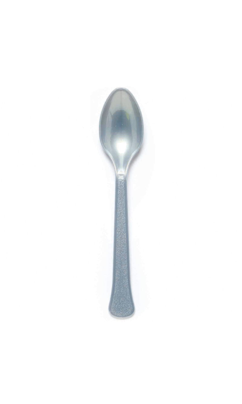 Solid Color Party Plastic Spoons Silver (Graphite) - 24pk