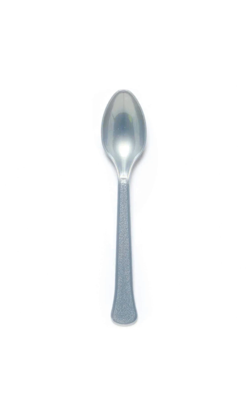 Solid Color Party Plastic Spoons Silver (Graphite) - 24pk