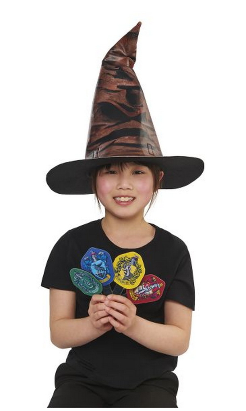 Official Licensed Harry Potter Hat With 4 Badges - Child One Size