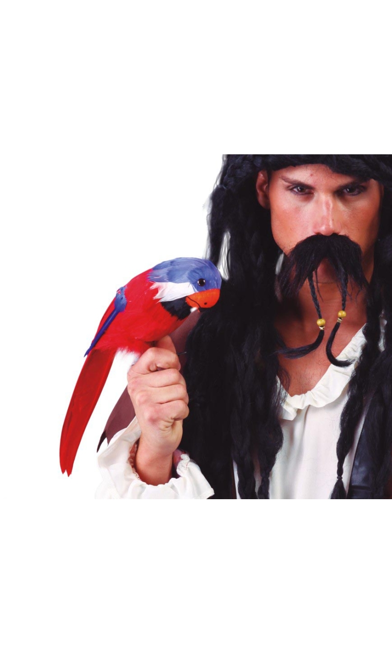 Parrot 35cm