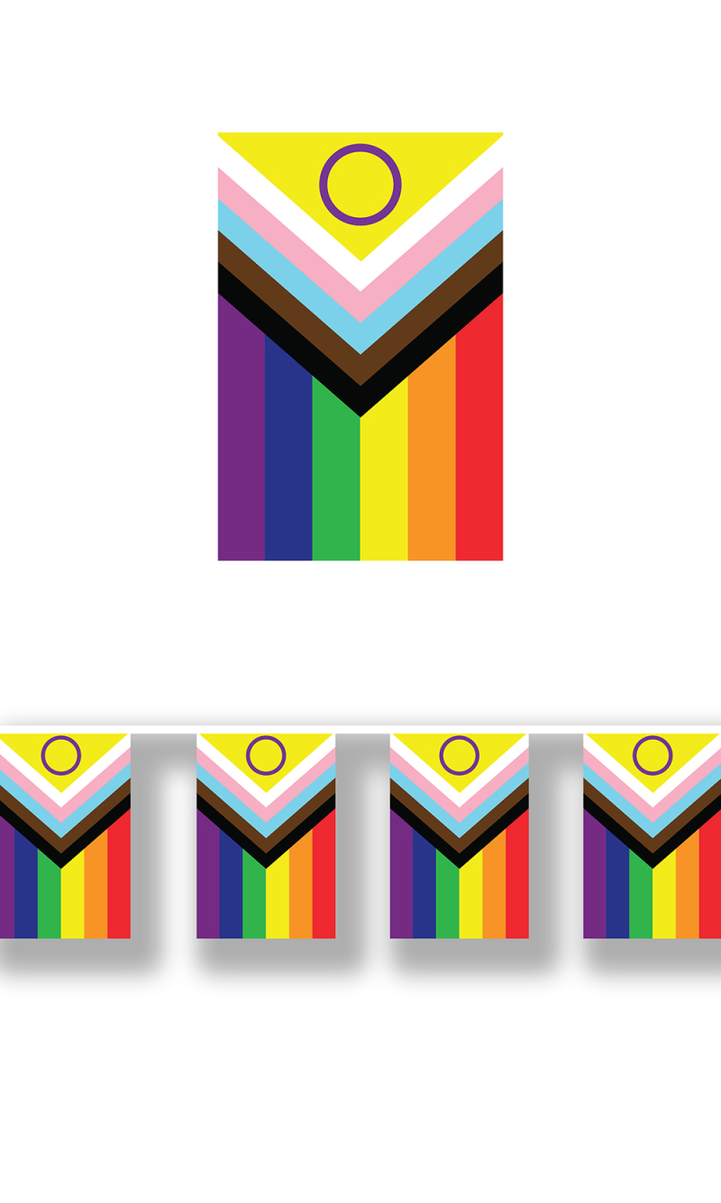 Pride Inclusive Rainbow Flag Garland 30x20cm - 2.5m