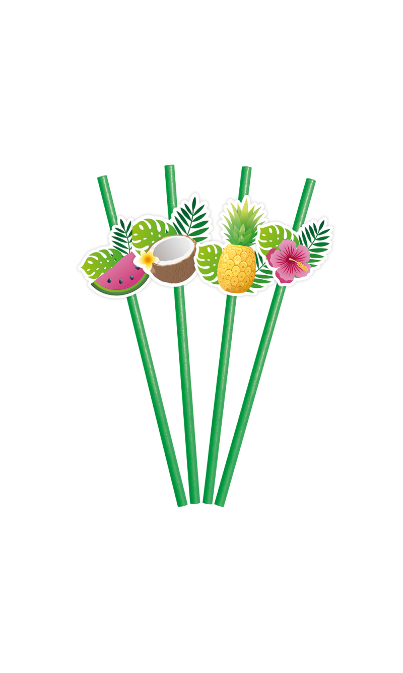 Hawaiian Aloha Fruit Paper Straws 6x 197mm - 6pcs
