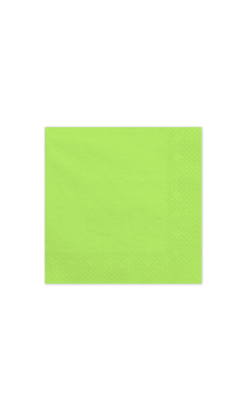 Paper Napkins Light Green 33x33cm - 20pk